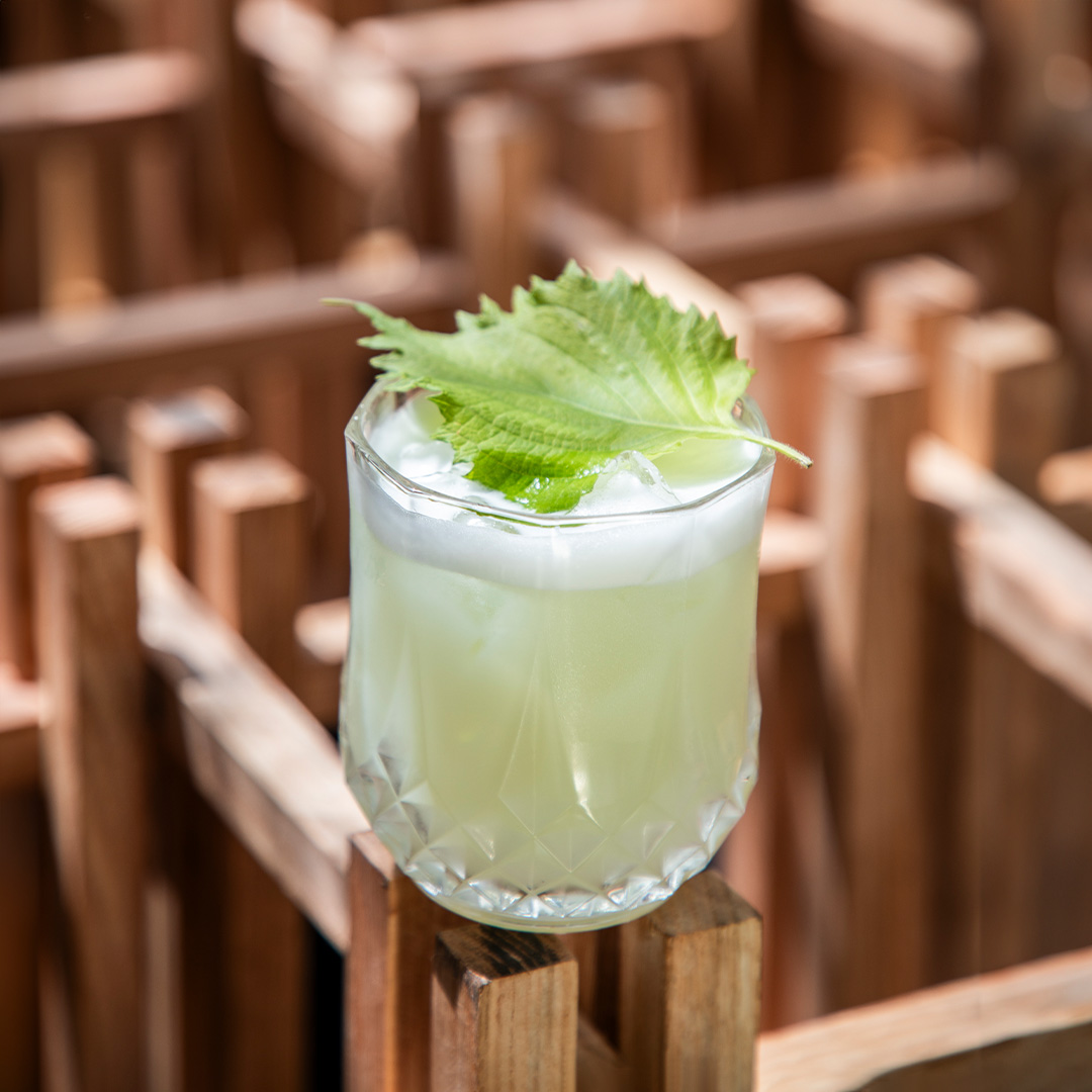 Kiuri Sour